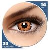 Innova Vision ColorNova Hazel - lentile de contact colorate caprui trimestriale - 30 purtari (2 lentile/cutie)