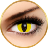 Auva Vision Fantaisie Yellow Cat - lentile de contact Crazy pentru Halloween anuale - 365 purtari (2 lentile/cutie)