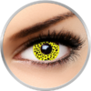 Auva Vision Fantaisie Yellow Cheetah - lentile de contact Crazy pentru Halloween anuale - 365 purtari (2 lentile/cutie)