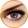 Anesthesia Addict Marron 180 purtari